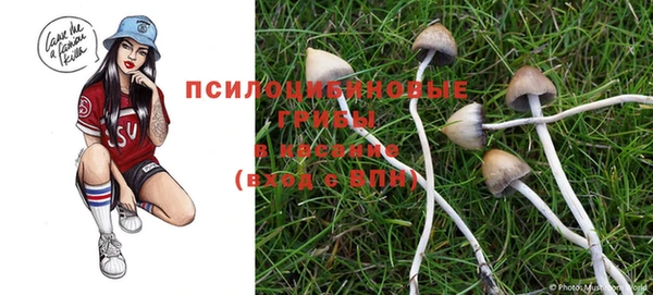прущая мука Верхний Тагил