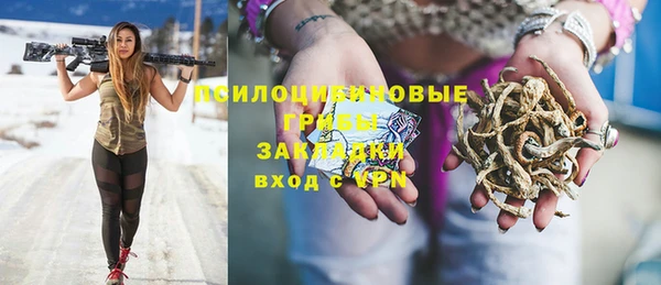 прущая мука Верхний Тагил